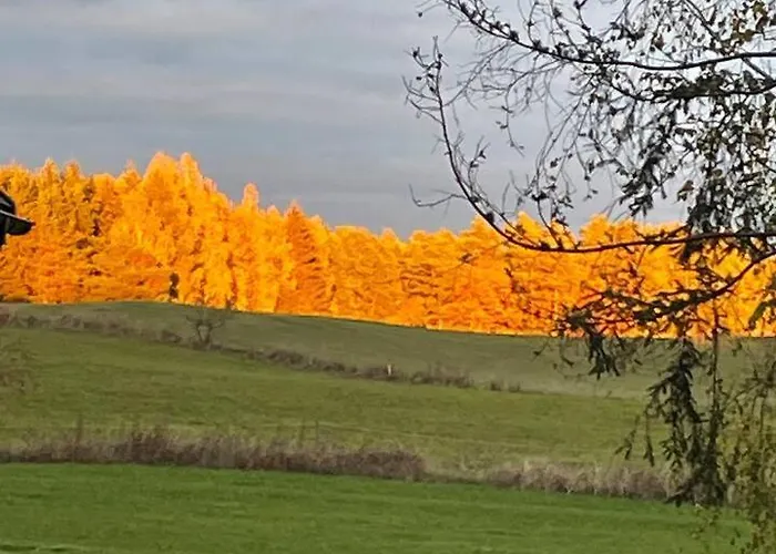 Holiday home Mazury Klimatyczny Dom Blisko Jeziora Stare Kielbonki