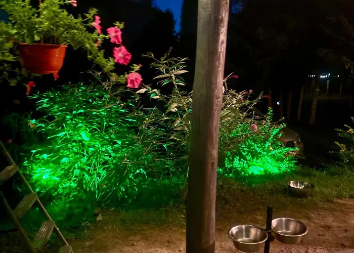 Holiday home Mazury Klimatyczny Dom Blisko Jeziora